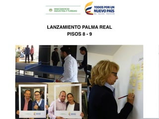 LANZAMIENTO PALMA REAL
PISOS 8 - 9
 
