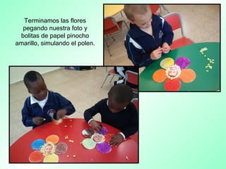Terminamos las flores
pegando nuestra foto y
bolitas de papel pinocho
amarillo, simulando el polen.
 