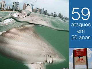 59 
ataques 
em 
20 anos 
 