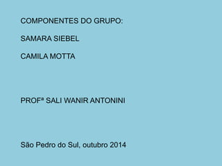 COMPONENTES DO GRUPO:
SAMARA SIEBEL
CAMILA MOTTA
PROFª SALI WANIR ANTONINI
São Pedro do Sul, outubro 2014
 