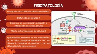 FISIOPATOLOGÍA
Reorganización anormal del citoesqueleto
Disfunción de células T
Deterioro en la migración, adhesión e
interacción con otras células
Afecta la homeostasis de células B
Agotamiento selectivo de los precursores
de la zona marginal esplénica de las
células B maduras circulantes y de las
células B de la zona marginal
 