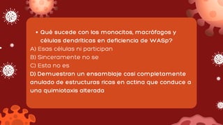 Qué sucede con los monocitos, macrófagos y
células dendríticas en deficiencia de WASp?
A) Esas células ni participan
B) Sinceramente no se
C) Esta no es
D) Demuestran un ensamblaje casi completamente
anulado de estructuras ricas en actina que conduce a
una quimiotaxis alterada
 