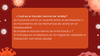 Cuál es la función normal de WASp?
A) Funciona como un puente entre la señalización y
el movimiento de los filamentos de actina en el
citoesqueleto.
B) Impide el reclutamiento de linfocitos B y T
C) Participa en el deterioro en la migración, adhesión e
interacción con otras células
 