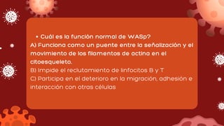 Cuál es la función normal de WASp?
A) Funciona como un puente entre la señalización y el
movimiento de los filamentos de actina en el
citoesqueleto.
B) Impide el reclutamiento de linfocitos B y T
C) Participa en el deterioro en la migración, adhesión e
interacción con otras células
 