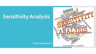 SensitivityAnalysis
IT Risk Management
 