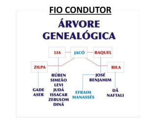 FIO CONDUTOR
 
