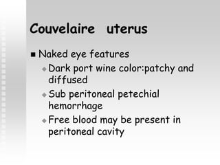 Couvelaire uterus
 Naked eye features
 Dark port wine color:patchy and
diffused
 Sub peritoneal petechial
hemorrhage
 Free blood may be present in
peritoneal cavity
 