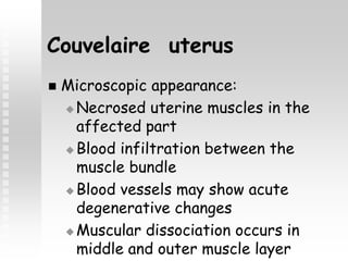 Couvelaire uterus
 Microscopic appearance:
 Necrosed uterine muscles in the
affected part
 Blood infiltration between the
muscle bundle
 Blood vessels may show acute
degenerative changes
 Muscular dissociation occurs in
middle and outer muscle layer
 