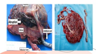 Arts and literature
Provide examples of art and literature that are
significant to Women's History Month. Here are
a few examples:
• The writing of Virginia Woolf
• The music of Nina Simone
• The artwork of Frida Kahlo
 