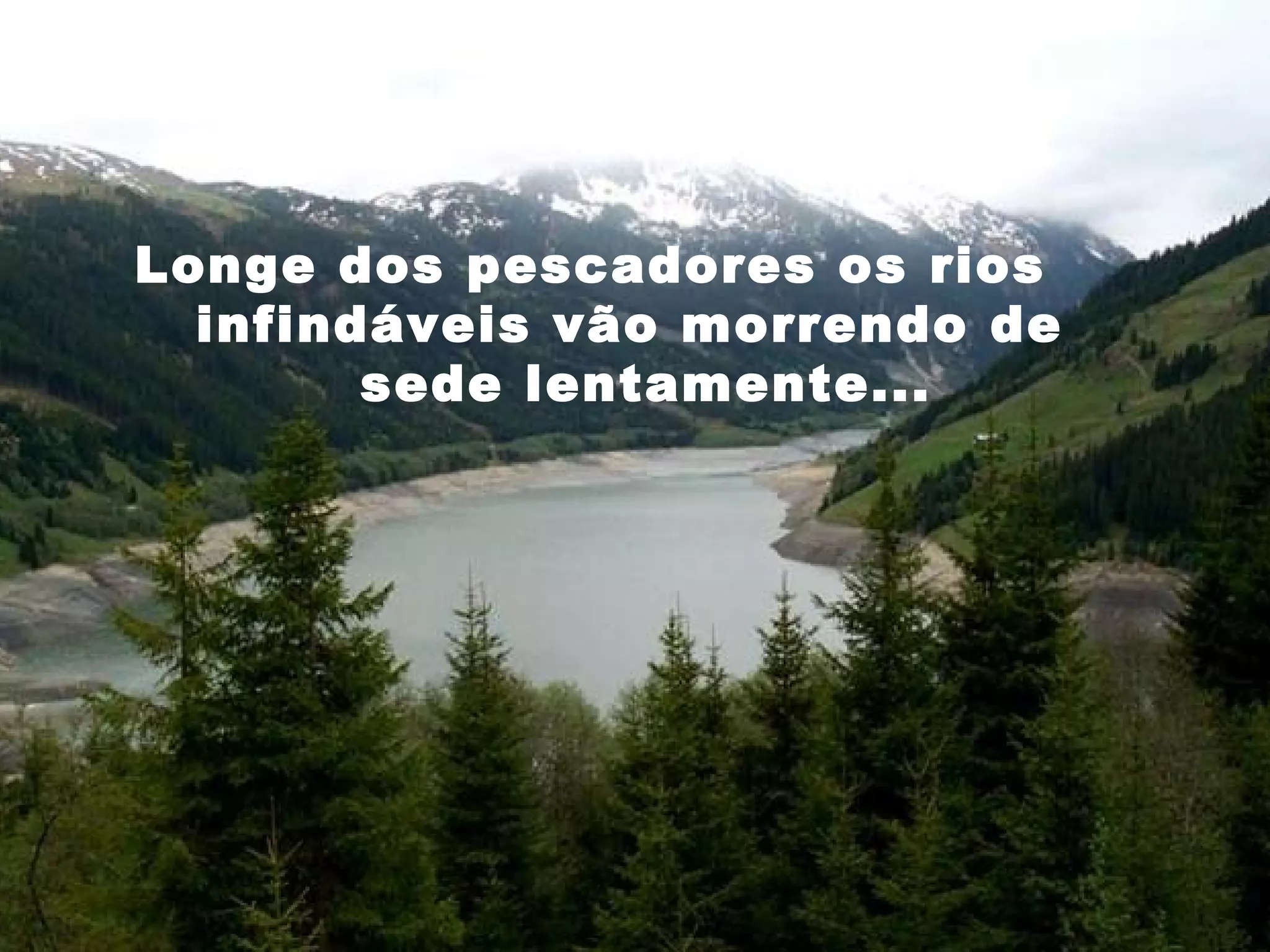Longe dos pescadores os rios
infindáveis vão morrendo de
sede lentamente...