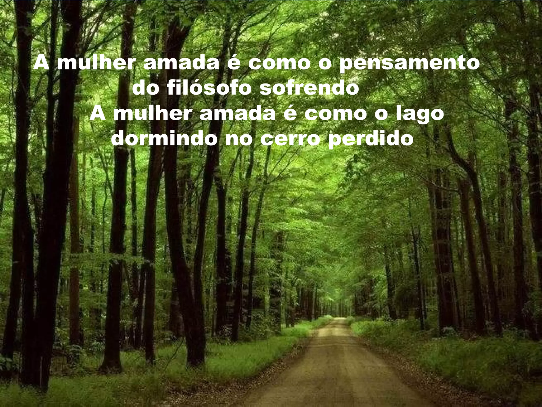 A mulher amada é como o pensamento
do filósofo sofrendo
A mulher amada é como o lago
dormindo no cerro perdido