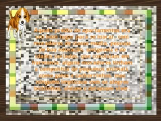 A quel e pr édi o de apar tamentos er a
 um bom lugar par a se mor ar , com
mor ador es de classe medi a, pessoas
    de boa educação, ami gávei s e de
 i dades var i adas, que convi vi am em
har moni a; al guns mor ador es ti nham
 a companhi a de pequenos ani mai s,
    como gatos e cachor r i nhos, mas
  ni nguém i mpl i cava com os al egr es
 bi chi nhos, vi vi am e dei xavam vi ver .
 