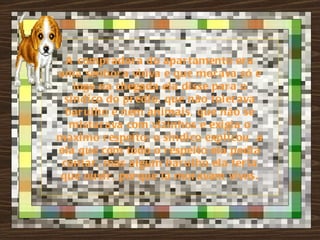 A compr ador a do apar tamento er a
uma senhor a vi úva e que mor ava só e
   logo na chegada ela di sse par a o
 si ndi co do pr édi o, que não tol er ava
  bar ul ho e nem ani mai s, que não se
   mi stur ava com vi zi nhos e exi gi a o
maxi mo r espei to; o si ndi co expl i cou a
ela que com todo o r espei to ela podi a
 contar , mas algum bar ulho el a ter i a
que ouvi r , por que lá mor avam vi vos.
 