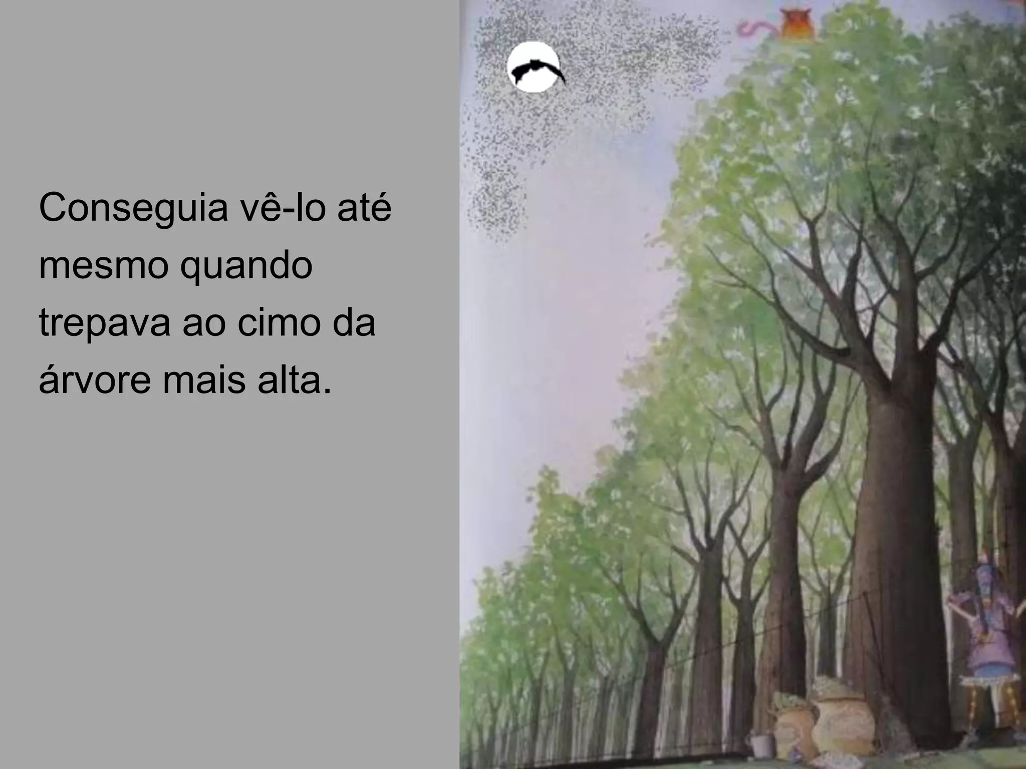 Conseguia vê-lo até
mesmo quando
trepava ao cimo da
árvore mais alta.

 