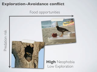 Exploration-Avoidance conﬂict

                 Food opportunities
Predation risk




                          High Neoph...