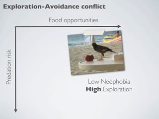 Exploration-Avoidance conﬂict

                 Food opportunities
Predation risk




                              Low Ne...