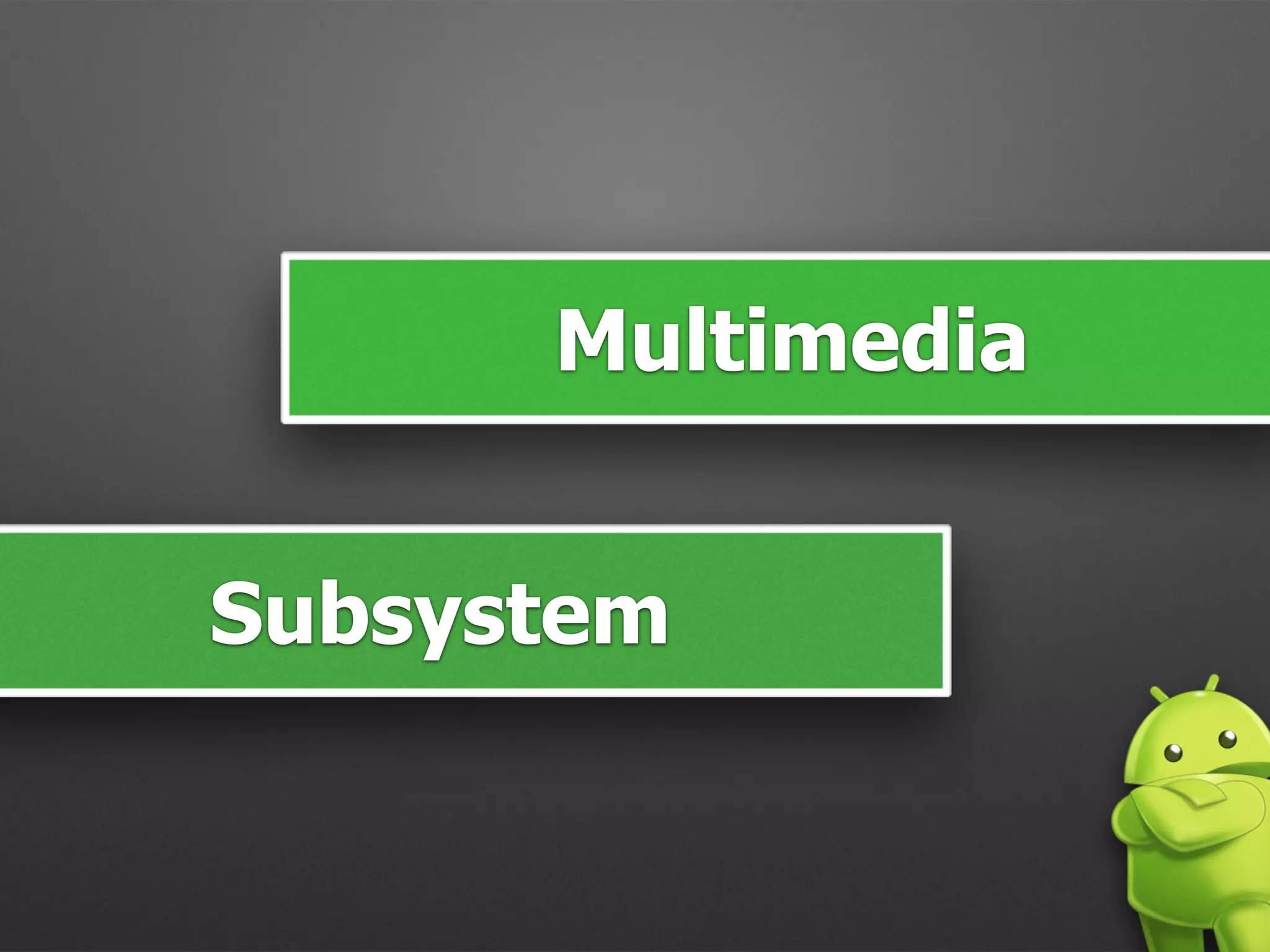 Multimedia
Subsystem
 