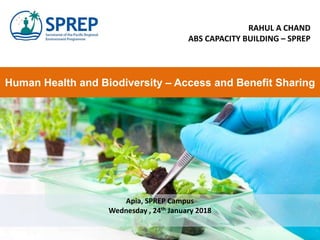 Human Health and Biodiversity – Access and Benefit Sharing
RAHUL A CHAND
ABS CAPACITY BUILDING – SPREP
Apia, SPREP Campus
Wednesday , 24th January 2018
 