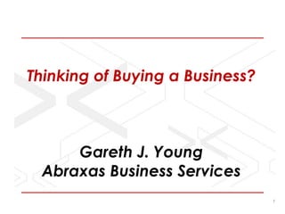 Thinking of Buying a Business?Gareth J. YoungAbraxas Business Services 