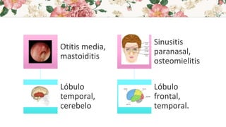 Otitis media,
mastoiditis
Lóbulo
temporal,
cerebelo
Sinusitis
paranasal,
osteomielitis
Lóbulo
frontal,
temporal.
 