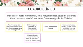CUADRO CLÍNICO
Indolentes, hasta fulminantes, en la mayoría de los casos los síntomas
tiene una duración de 2 semanas. Con un rango de 3 a 120 días.
Relación con el foco
primario y caracterizarse
por fiebre, cefalea, toma
del estado general
Síntomas por un
síndrome de
hipertensión
endocraneana
Cefalea, náuseas,
vómitos, bradicardia,
toma de conciencia.
Paresia de VI par craneal
Signos neurológicos
locales
Casos de ruptura del
absceso hacia el sistema
ventricular con una
evolución fulminante.
 