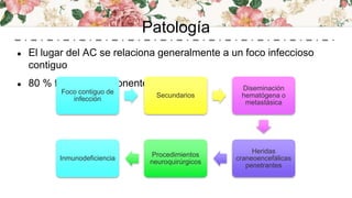 Patología
● El lugar del AC se relaciona generalmente a un foco infeccioso
contiguo
● 80 % factor predisponente:
Foco contiguo de
infección
Secundarios
Diseminación
hematógena o
metastásica
Heridas
craneoencefálicas
penetrantes
Procedimientos
neuroquirúrgicos
Inmunodeficiencia
 