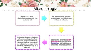 Microbiología
Estrecctoccocus,
staphylococcus aureus y la
escheria coli
La presencia del germen
también está en relación con
el foco de infección
Los bacilos entéricos Gram
negativos provienen de un
foco ótico o el paciente se
encuentra inmunosuprimido.
En casos raros son aislados:
salmonella, streptobacillus,
brucella, propionibacterium,
nocardia, listeria, citrobacter,
mycobacterium, aspergirus,
amebas, tuberculosis (TB) y
eikenella.
 