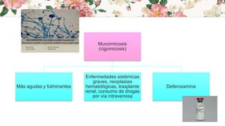 Mucormicosis
(cigomicosis)
Más agudas y fulminantes
Enfermedades sistémicas
graves, neoplasias
hematológicas, trasplante
renal, consumo de drogas
por vía intravenosa
Deferoxamina
 