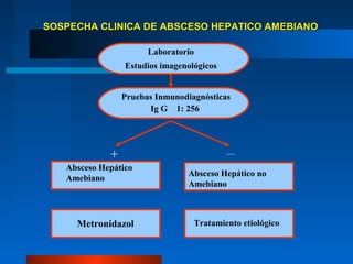 SOSPECHA CLINICA DE ABSCESO HEPATICO AMEBIANO

                       Laboratorio
                 Estudios imagenológicos


                 Pruebas Inmunodiagnósticas
                       Ig G 1: 256




             +
   Absceso Hepático
                                Absceso Hepático no
   Amebiano
                                Amebiano



     Metronidazol                    Tratamiento etiológico
 
