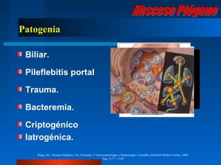 Patogenia

 Biliar.

 Pileflebitis portal

 Trauma.

 Bacteremia.

 Criptogénico
 Iatrogénica.
    Diego, M., Absceso Hepático. En: Alvarado, J. Gastroenterología y Hepatología. Colombia, Editorial Médica Celsus, 2006.
                                                       Pag. 1177 - 1184
 