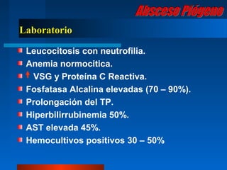 Laboratorio

 Leucocitosis con neutrofilia.
 Anemia normocitica.
  VSG y Proteína C Reactiva.
 Fosfatasa Alcalina elevadas (70 – 90%).
 Prolongación del TP.
 Hiperbilirrubinemia 50%.
 AST elevada 45%.
 Hemocultivos positivos 30 – 50%
 