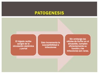 PATOGENESIS




                                                  Sin embargo las
   El hígado recibe                            células de Kuffer en el
                          Esto incrementa la
     sangre de la                               sinusoide, cumplen
                           susceptibilidad a
circulación sistémica                            eficientemente su
                             infecciones
        y portal                                    función y las
                                               infecciones son raras.
 