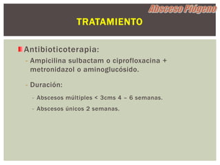 TRATAMIENTO

Antibioticoterapia:
- Ampicilina sulbactam o ciprofloxacina +
  metronidazol o aminoglucósido.

- Duración:
  - Abscesos múltiples < 3cms 4 – 6 semanas.
  - Abscesos únicos 2 semanas.
 