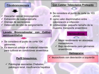 Fibrobroncoscopía
 Descartar cáncer broncogénico
 Extracción de cuerpo extraño
 Drenaje de secreciones
 Detección de sitio de sangramiento
Con Catéter Telescópico Protegido
 Se considera el punto de corte de 103
ufc/ml.
 como valor discriminativo entre
colonización e infección
 Limitaciones: pequeño tamaño de la
muestra, transporte anaeróbico
Lavado Broncoalveolar con Cultivo
semicuantitativo
 Se considera el punto de corte 104
gérmenes.
 Es esencial colocar el material obtenido
para cultivos en condiciones anaeróbica
Hemocultivos:
 Mejor rendimiento en abscesos
metastásicos.
 Bajo rendimiento para gérmenes
anaeróbicos
Hemograma:
 leucocitosis con desviación a izquierdaPerfil bioquímico:
 Patologías asociadas (Diabetes,
patología renal, insuficiencia hepática
 