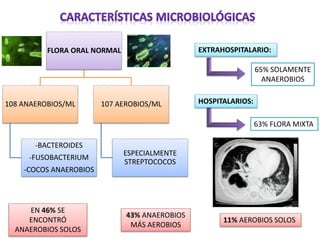 FLORA ORAL NORMAL
108 ANAEROBIOS/ML
-BACTEROIDES
-FUSOBACTERIUM
-COCOS ANAEROBIOS
107 AEROBIOS/ML
ESPECIALMENTE
STREPTOCOCOS
EN 46% SE
ENCONTRÓ
ANAEROBIOS SOLOS
43% ANAEROBIOS
MÁS AEROBIOS
11% AEROBIOS SOLOS
EXTRAHOSPITALARIO:
65% SOLAMENTE
ANAEROBIOS
63% FLORA MIXTA
HOSPITALARIOS:
 