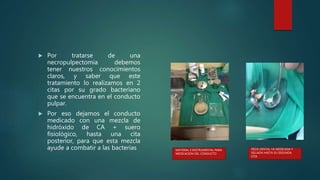  Por tratarse de una
necropulpectomia debemos
tener nuestros conocimientos
claros, y saber que este
tratamiento lo realizamos en 2
citas por su grado bacteriano
que se encuentra en el conducto
pulpar.
 Por eso dejamos el conducto
medicado con una mezcla de
hidróxido de CA + suero
fisiológico, hasta una cita
posterior, para que esta mezcla
ayude a combatir a las bacterias MATERIAL E INSTRUMENTAL PARA
MEDICACION DEL CONDUCTO
PIEZA DENTAL YA MEDICADA Y
SELLADA HASTA SU SEGUNDA
CITA
 