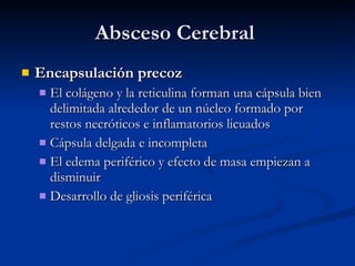 Absceso Cerebral  Encapsulación precoz El colágeno y la reticulina forman una cápsula bien delimitada alrededor de un núcleo formado por restos necróticos e inflamatorios licuados Cápsula delgada e incompleta El edema periférico y efecto de masa empiezan a disminuir Desarrollo de gliosis periférica  