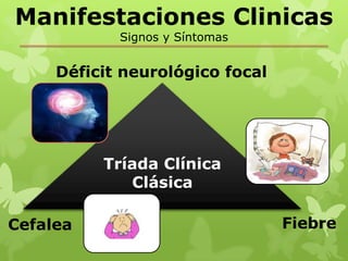 Manifestaciones Clinicas
            Signos y Síntomas


     Déficit neurológico focal




          Tríada Clínica
             Clásica

Cefalea                          Fiebre
 
