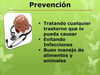 Prevención

   Tratando cualquier
    trastorno que lo
    pueda causar
   Evitando
    Infecciones
   Buen manejo de
    alimentos y
    animales
 