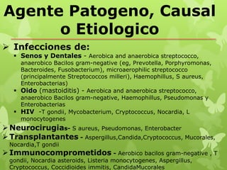 Agente Patogeno, Causal
      o Etiologico
 Infecciones de:
    Senos y Dentales - Aerobica and anaerobica streptococco,
     anaerobico Bacilos gram-negative (eg, Prevotella, Porphyromonas,
     Bacteroides, Fusobacterium), microaerophilic streptococco
     (principalmente Streptococcos milleri), Haemophillus, S aureus,
     Enterobacterias)
    Oido (mastoiditis) - Aerobica and anaerobica streptococco,
     anaerobico Bacilos gram-negative, Haemophillus, Pseudomonas y
     Enterobacterias
    HIV -T gondii, Mycobacterium, Cryptococcus, Nocardia, L
     monocytogenes
 Neurocirugias- S aureus, Pseudomonas, Enterobacter
 Transplantantes - Aspergillus,Candida,Cryptococcus, Mucorales,
  Nocardia,T gondii
 Immunocomprometidos - Aerobico bacilos gram-negative , T
  gondii, Nocardia asteroids, Listeria monocytogenes, Aspergillus,
  Cryptococcus, Coccidioides immitis, CandidaMucorales
 