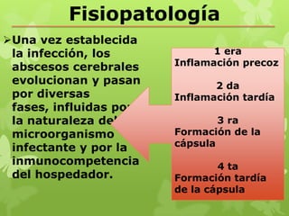 Fisiopatología
Una vez establecida
 la infección, los             1 era
 abscesos cerebrales    Inflamación precoz
 evolucionan y pasan           2 da
 por diversas           Inflamación tardía
 fases, influidas por
 la naturaleza del              3 ra
 microorganismo         Formación de la
 infectante y por la    cápsula
 inmunocompetencia              4 ta
 del hospedador.        Formación tardía
                        de la cápsula
 