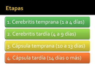 1. Cerebritis temprana (1 a 4 días) 
2. Cerebritis tardía (4 a 9 días) 
3. Cápsula temprana (10 a 13 días) 
4. Cápsula tardía (14 días o más) 
 