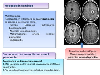 Propagación hemática
Propagación hemática

-Multiloculados.
-Multiloculados.
--Localizados en el territorio de la cerebral media
Localizados en el territorio de la cerebral media
-Se asocian aainfecciones como:
-Se asocian infecciones como:
-Pulmón
(Abscesos
pulmonares,
-Pulmón
(Abscesos
pulmonares,
bronquiectasias)
bronquiectasias)
-Abscesos intrabdominales.
-Abscesos intrabdominales.
-Malformaciones
arteriovenosas
-Malformaciones
arteriovenosas
pulmonares
pulmonares
-Endocarditis.
-Endocarditis.

Secundario a un traumatismo craneal
Secundario a un traumatismo craneal
penetrante
penetrante
Secundario aaun traumatismo craneal:
Secundario un traumatismo craneal:
1.Más frecuente en los traumatismos craneoencefálicos
1.Más frecuente en los traumatismos craneoencefálicos
penetrantes.
penetrantes.
2.Por introducción de cuerpos extraños, esquirlas óseas.
2.Por introducción de cuerpos extraños, esquirlas óseas.

Diseminación hematógena:
Diseminación hematógena:
Mecanismo primordial en
Mecanismo primordial en
pacientes inmunodeprimido
pacientes inmunodeprimido

 