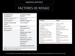 FACTORES DE RIESGO
ABSCESO HEPÁTICO
The Evolving Nature of Hepatic Abscess: A Review, J Clinical and Translational Hepatology. 2016 Jun 28; 4(2): 158–168.
 