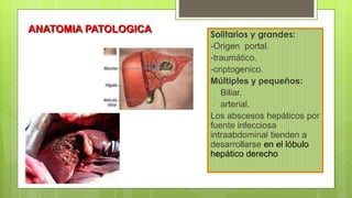 ANATOMIA PATOLOGICA Solitarios y grandes:
-Origen portal.
-traumático.
-criptogenico.
Múltiples y pequeños:
- Biliar.
- arterial.
Los abscesos hepáticos por
fuente infecciosa
intraabdominal tienden a
desarrollarse en el lóbulo
hepático derecho
 