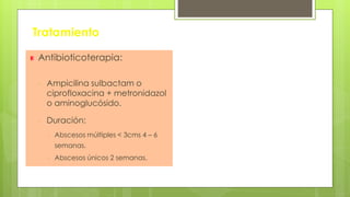 Tratamiento
Antibioticoterapia:
- Ampicilina sulbactam o
ciprofloxacina + metronidazol
o aminoglucósido.
- Duración:
- Abscesos múltiples < 3cms 4 – 6
semanas.
- Abscesos únicos 2 semanas.
 