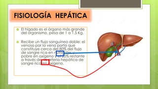 FISIOLOGÍA HEPÁTICA
 El hígado es el órgano más grande
del organismo, pesa de 1 a 1,5 Kg.
 Recibe un flujo sanguíneo doble: el
venoso por la vena porta que
constituye cerca del 80% del flujo
de sangre rica en nutrientes y
pobre en oxígeno y el 20% restante
a través de la arteria hepática de
sangre rica en oxígeno.
 
