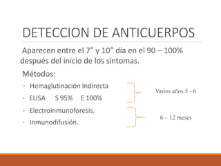 DETECCION DE ANTICUERPOS
Aparecen entre el 7° y 10° día en el 90 – 100%
después del inicio de los síntomas.
Métodos:
- Hemaglutinación Indirecta
- ELISA S 95% E 100%
- Electroinmunoforesis.
- Inmunodifusión.
Varios años 5 - 6
6 – 12 meses
 