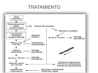 TRATAMIENTO
 