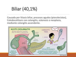 Biliar (40,1%)
Causada por litiasis biliar, procesos agudos (piocolecistos),
Coledocolitiasis con colangitis, estenosis o neoplasia,
mediante colangitis ascendente.
 